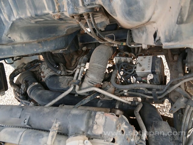 44.jpg
