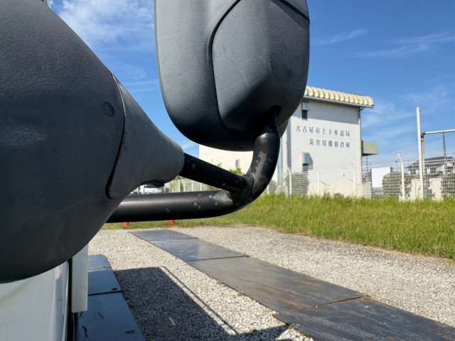 290.jpg