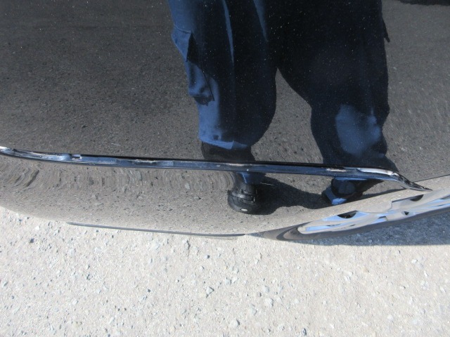 281.jpg