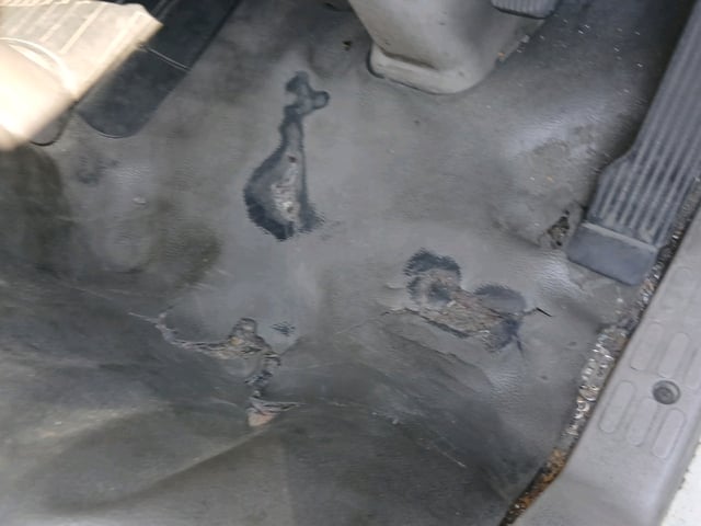 281.jpg
