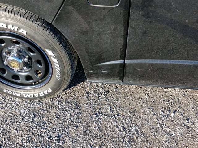 299.jpg