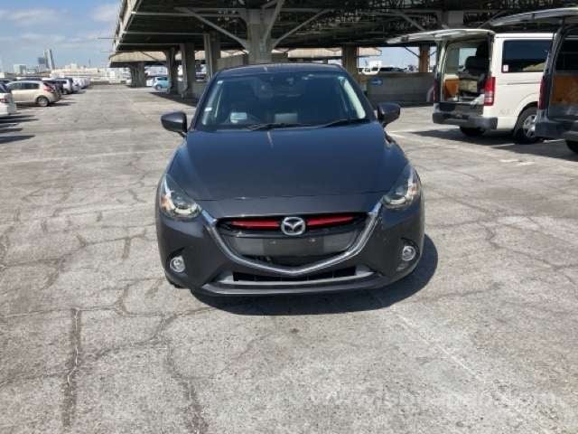 4.jpg