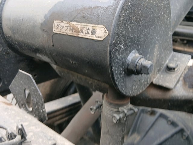 286.jpg