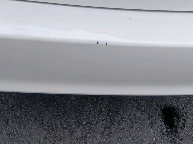283.jpg