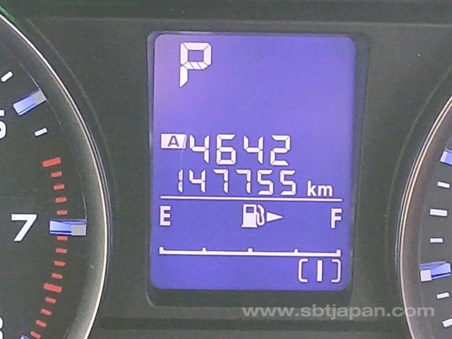 40.jpg