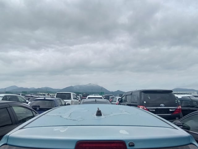 280.jpg