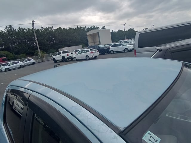 281.jpg