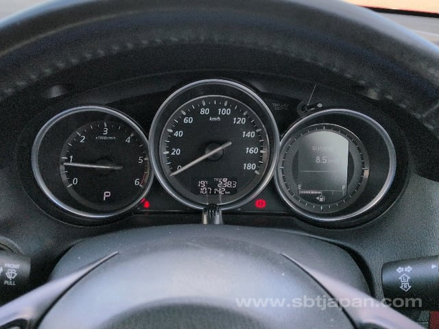 39.jpg