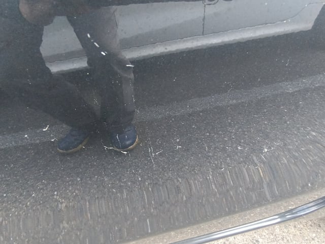 287.jpg