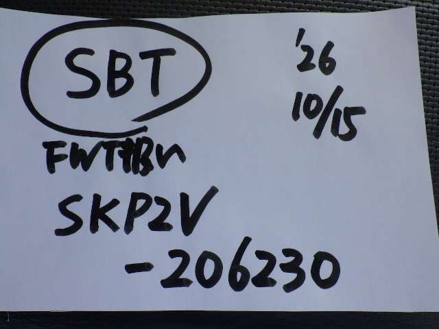 280.jpg