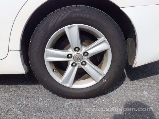41.jpg