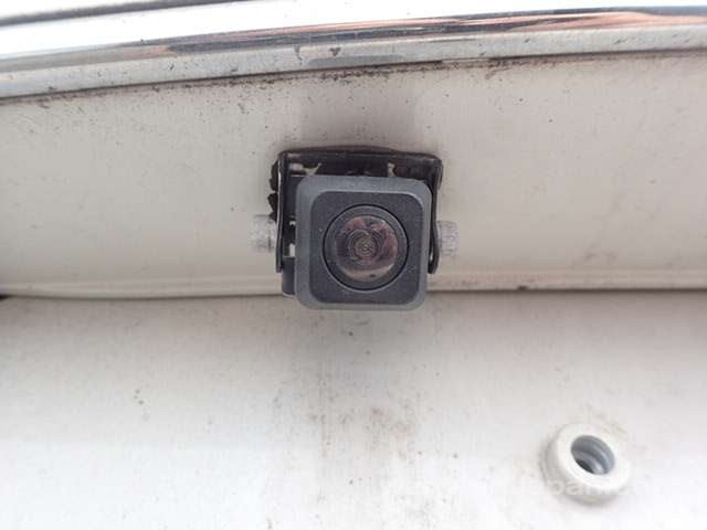 44.jpg