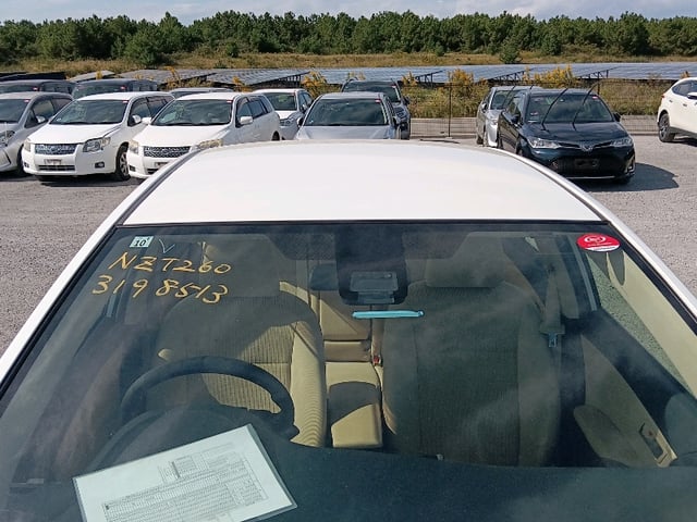 301.jpg