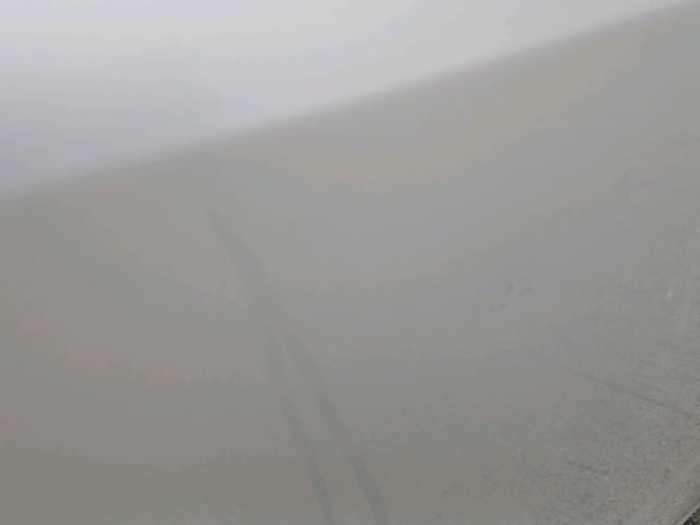 288.jpg
