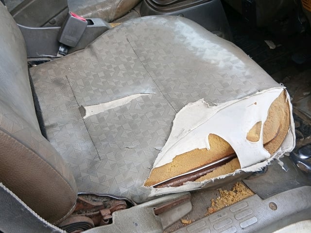 282.jpg
