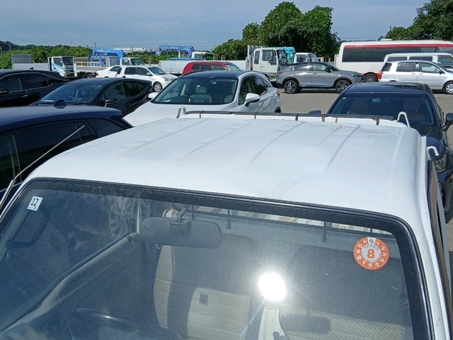 298.jpg