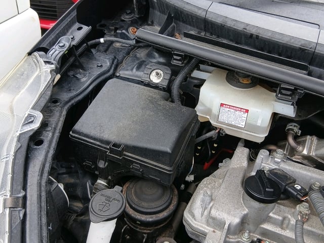 283.jpg