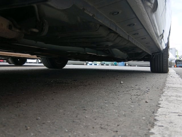 295.jpg