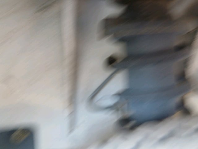 281.jpg