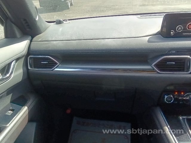 21.jpg