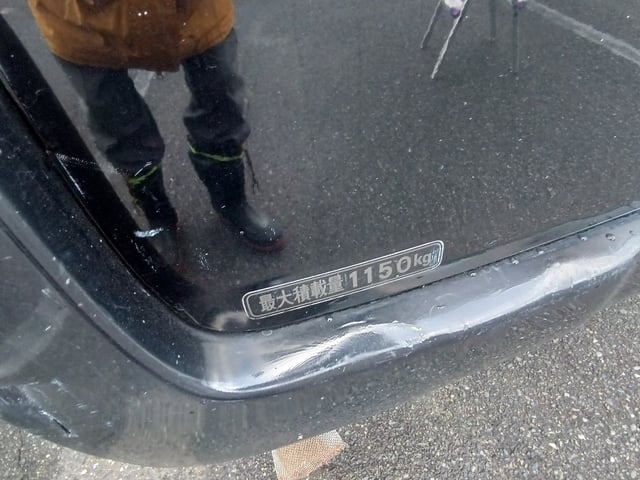 313.jpg