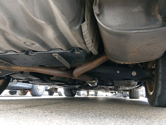 295.jpg