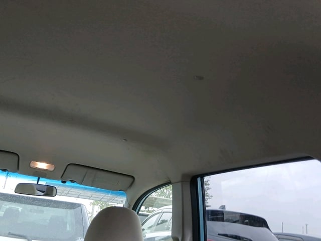 293.jpg