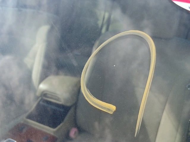 281.jpg