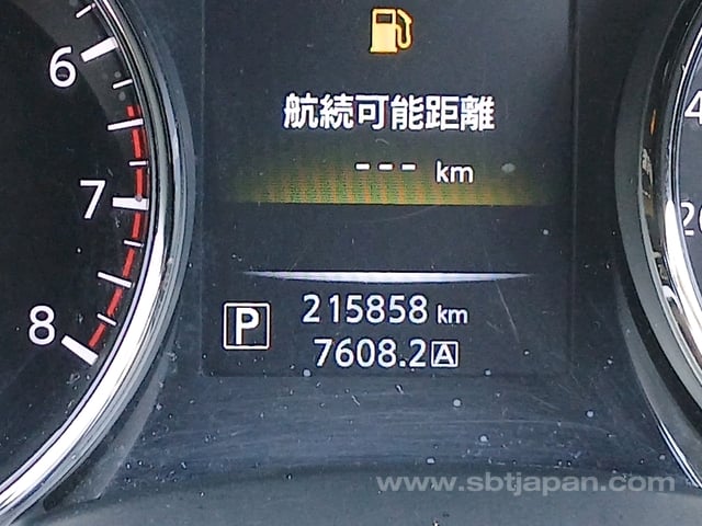 19.jpg