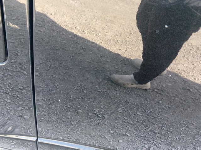 285.jpg