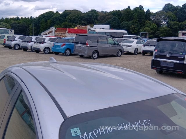 40.jpg