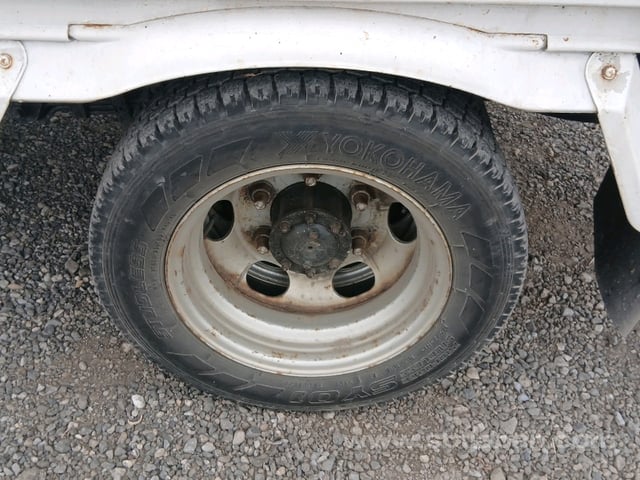 29.jpg