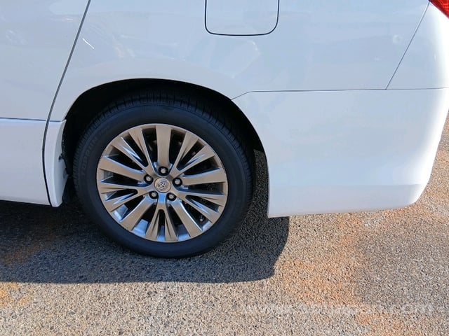 51.jpg