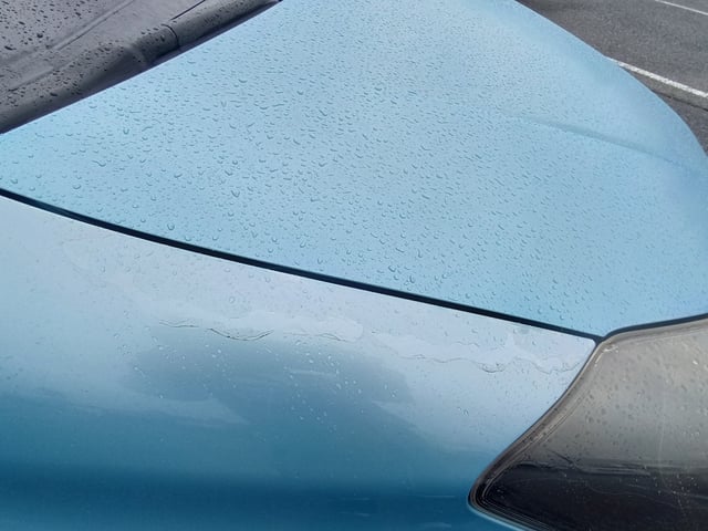 280.jpg