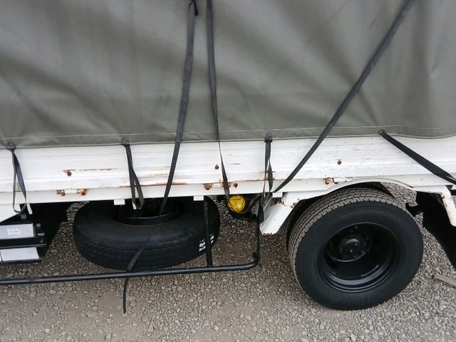 294.jpg