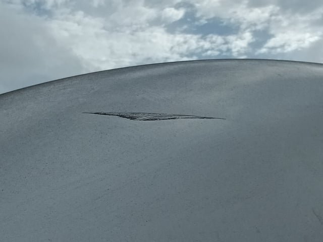 291.jpg