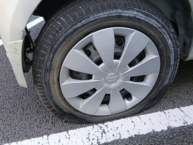 280.jpg
