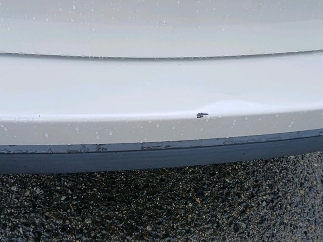 286.jpg