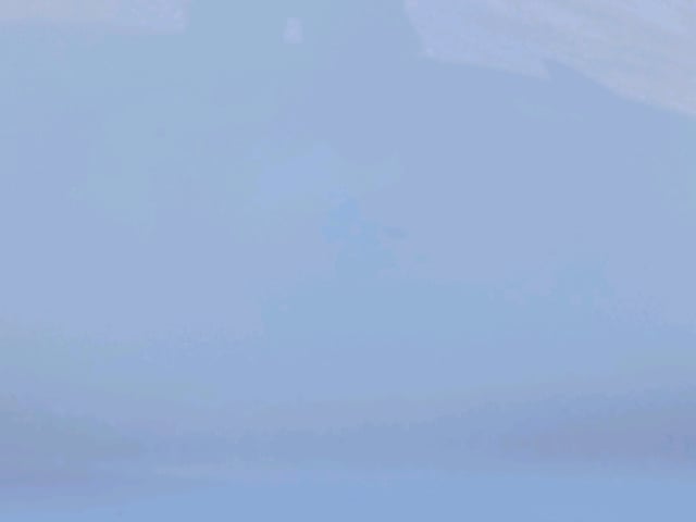 281.jpg