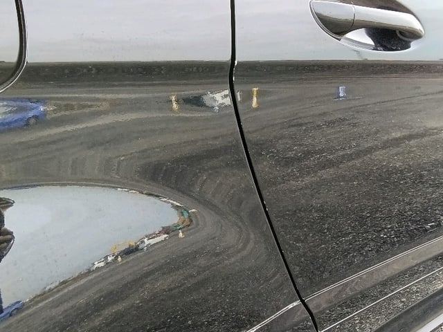 295.jpg