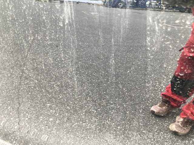 301.jpg