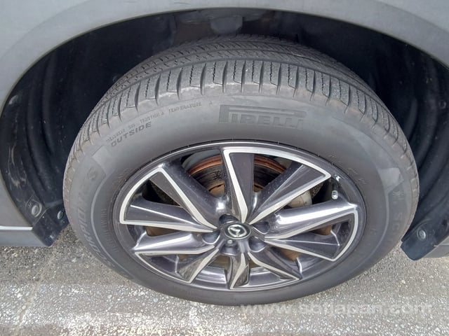 33.jpg