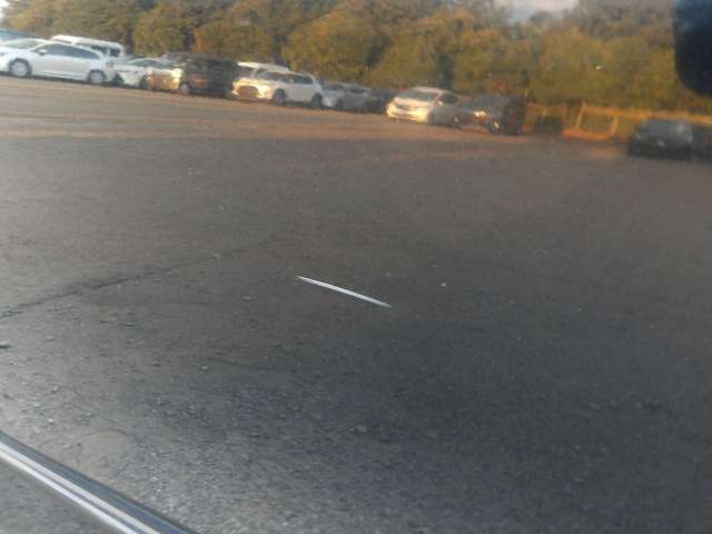 287.jpg
