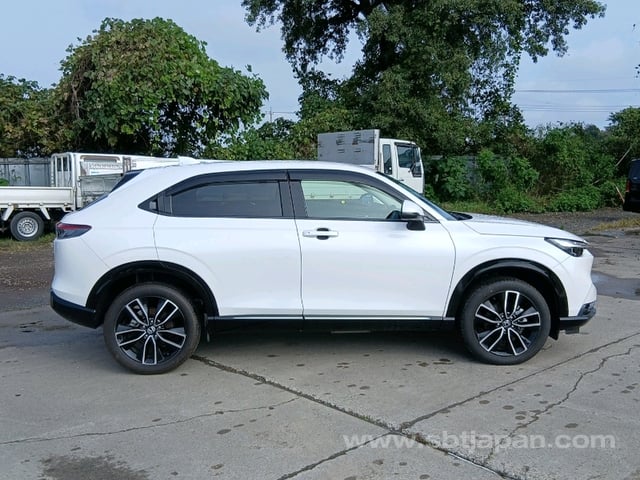 44.jpg