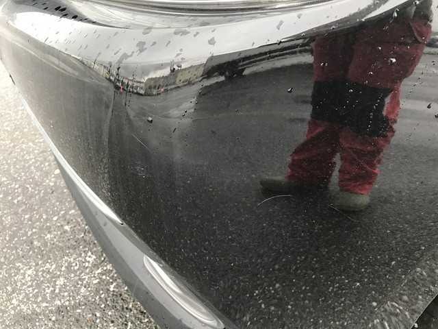 281.jpg