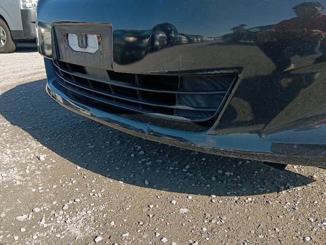 299.jpg