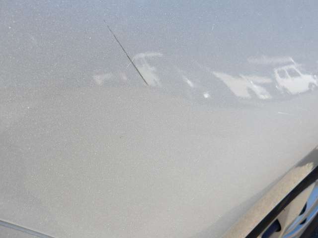 281.jpg