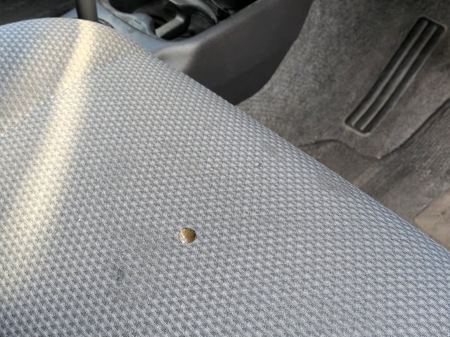 282.jpg