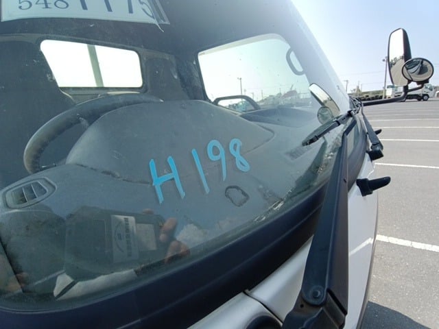 305.jpg