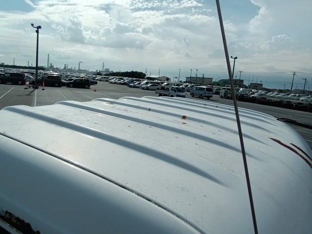 305.jpg